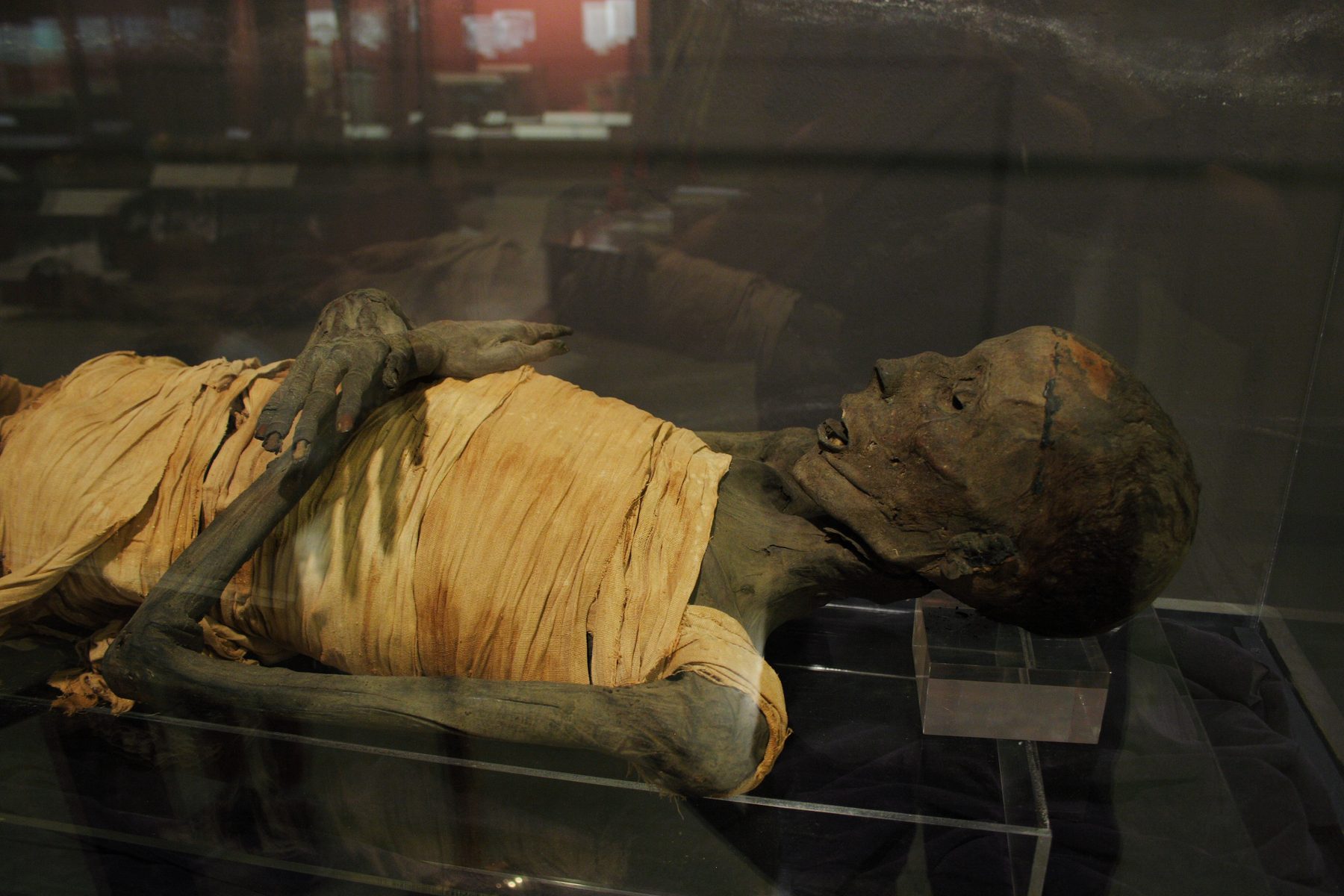 Close-up of Mummy
